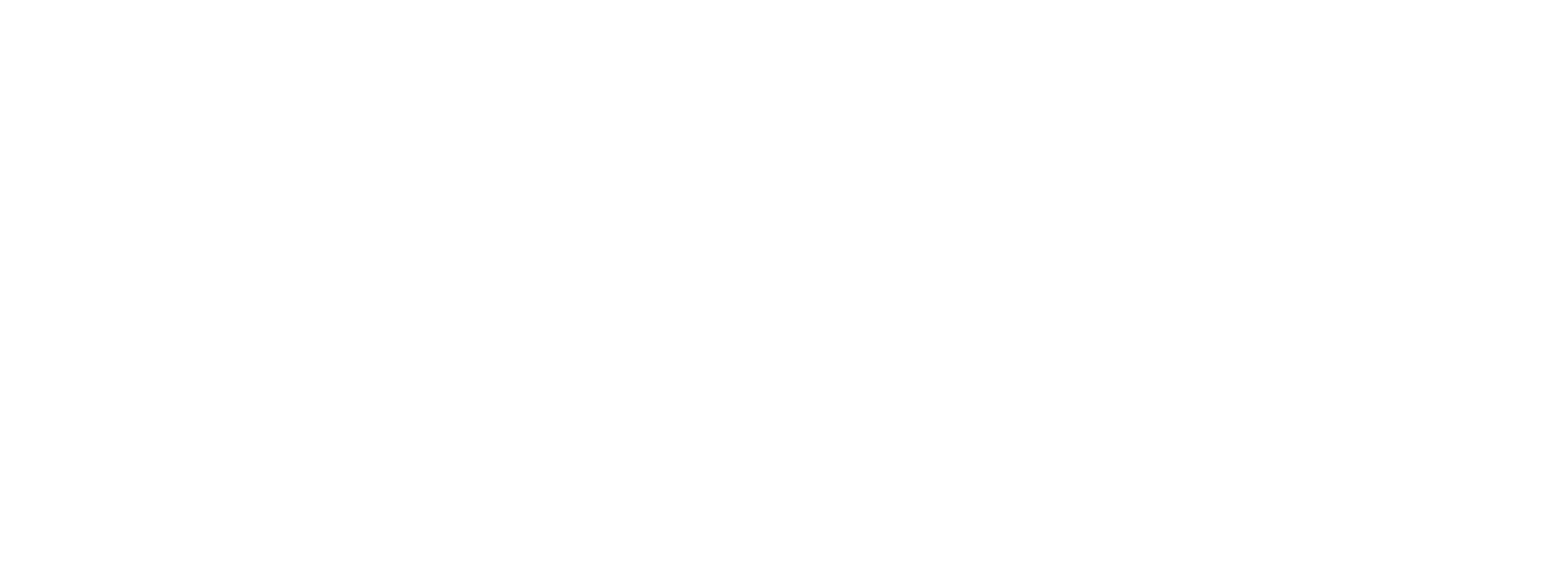 RebinHoldings